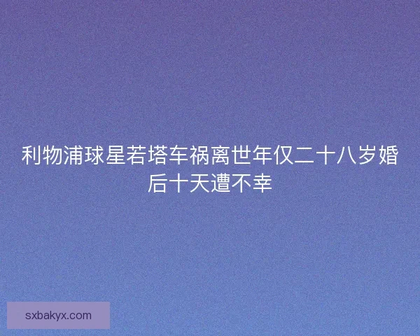 利物浦球星若塔车祸离世年仅二十八岁婚后十天遭不幸