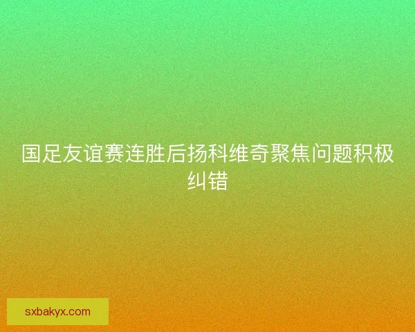国足友谊赛连胜后扬科维奇聚焦问题积极纠错 国足友谊赛连胜后扬科维奇聚焦问题积极纠错