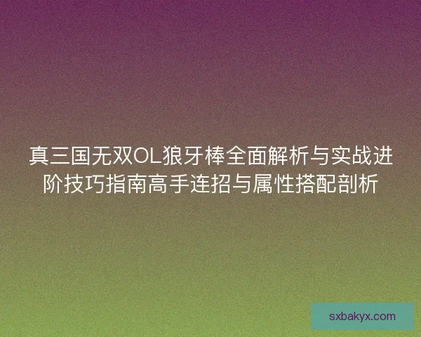 真三国无双OL狼牙棒全面解析与实战进阶技巧指南高手连招与属性搭配剖析